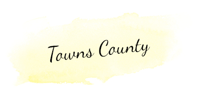 Towns & Union Counties